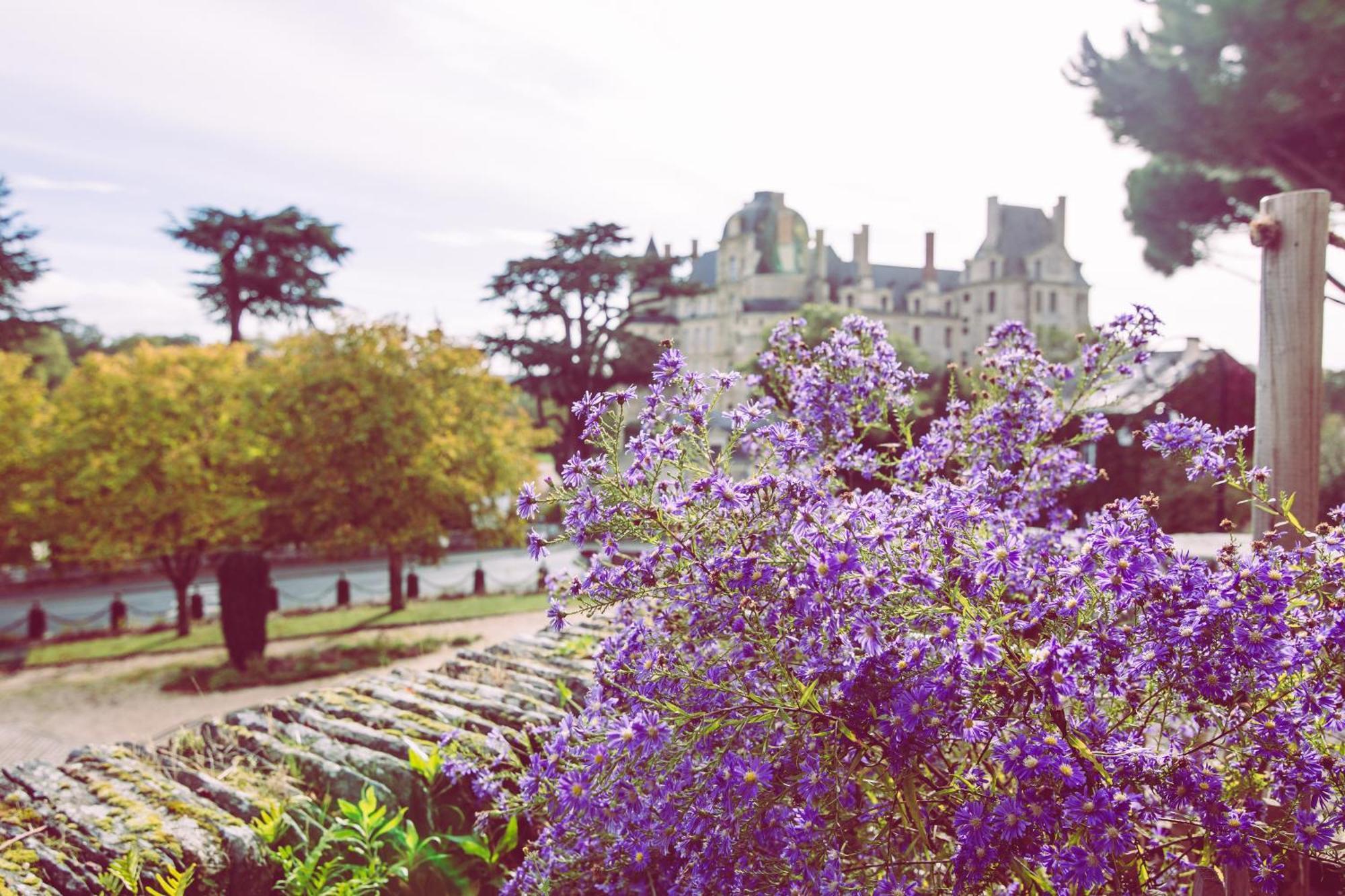 Le Regisseur Apartment Brissac-Quince ภายนอก รูปภาพ