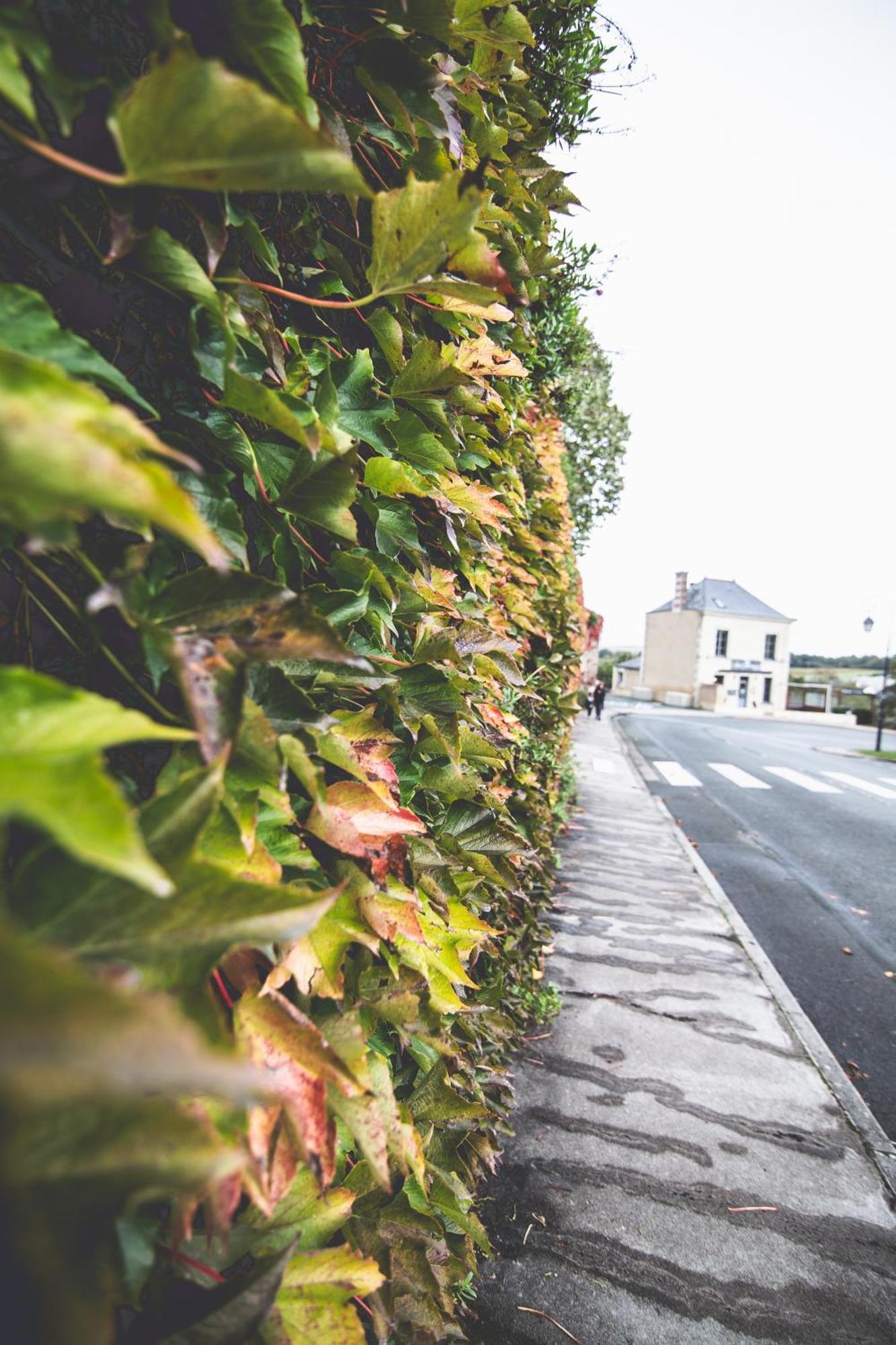 Le Regisseur Apartment Brissac-Quince ภายนอก รูปภาพ